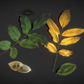 现代树叶3D模型下载